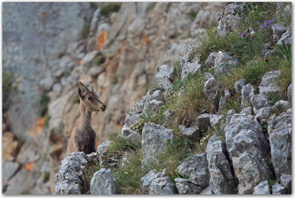 rencontres estivales