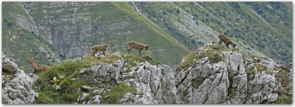 rencontres estivales