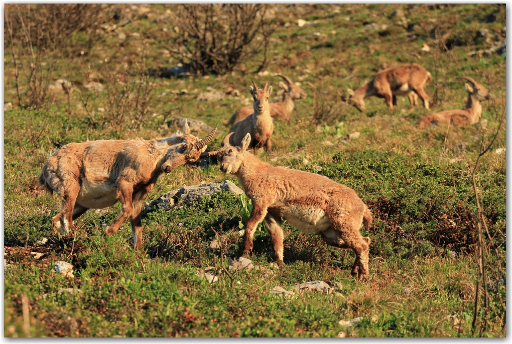 le Vercors et ses habitants