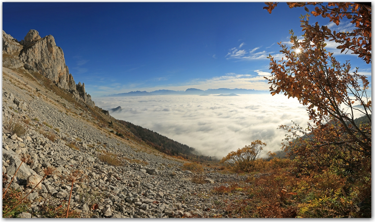 automne en or