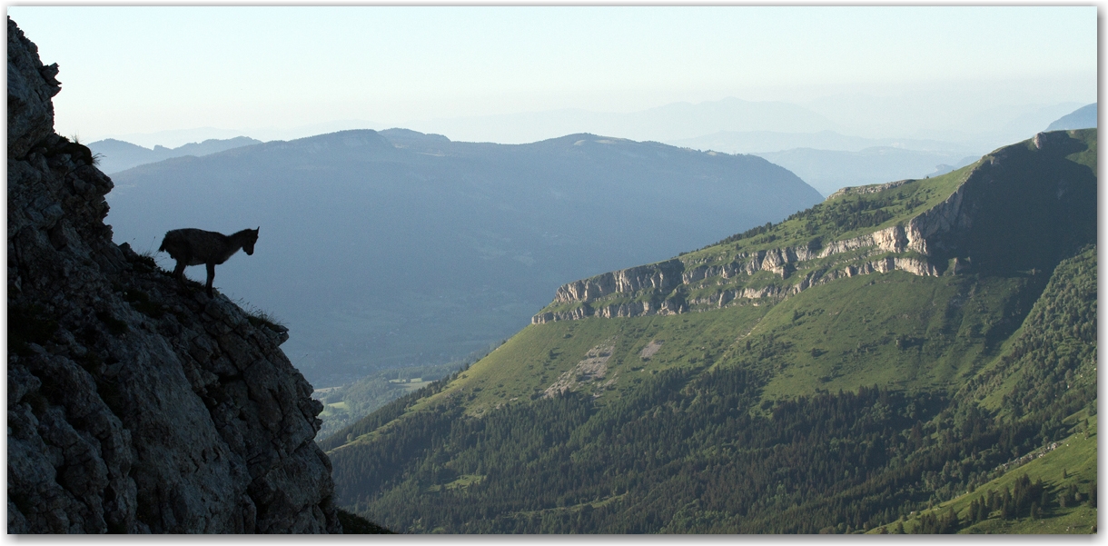 contemplation sur les crêtes du Vercors