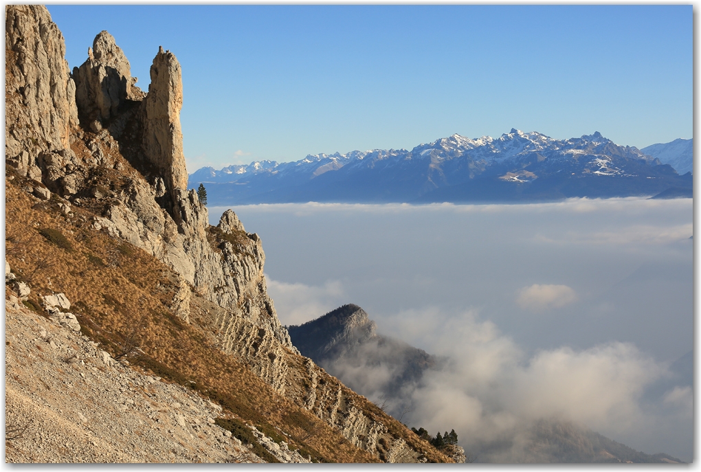 les bouquetins en hiver sans neige