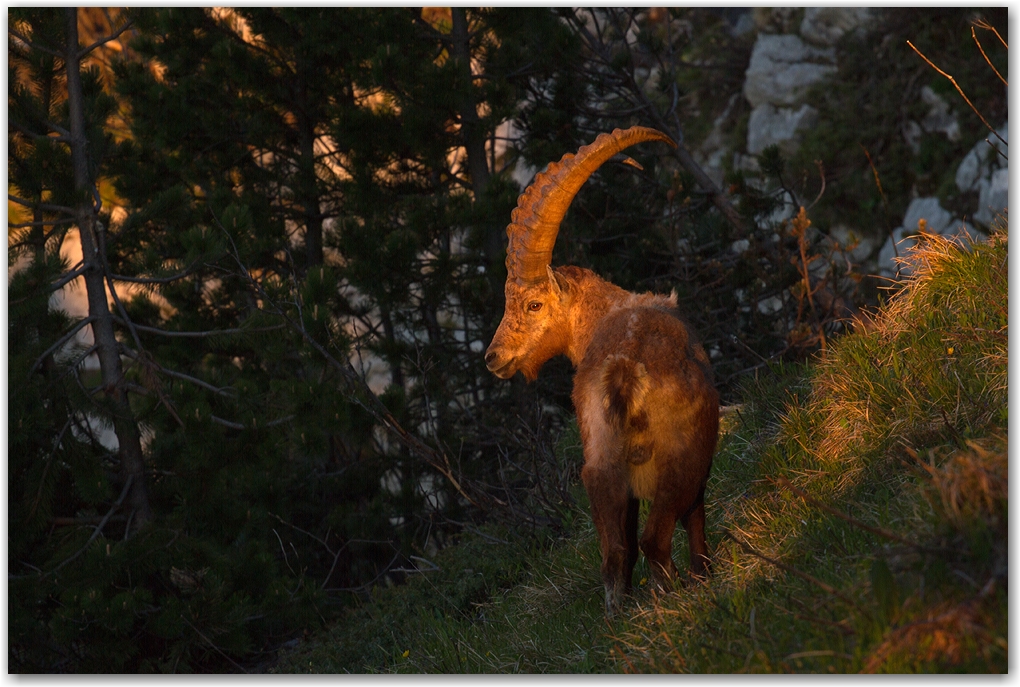 le Vercors et ses habitants