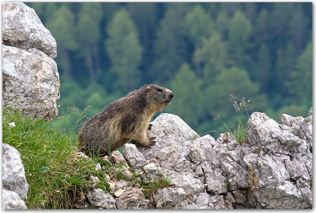 le Vercors et ses rencontres