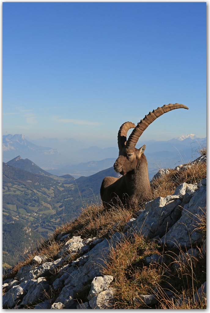 l'automne en Vercors