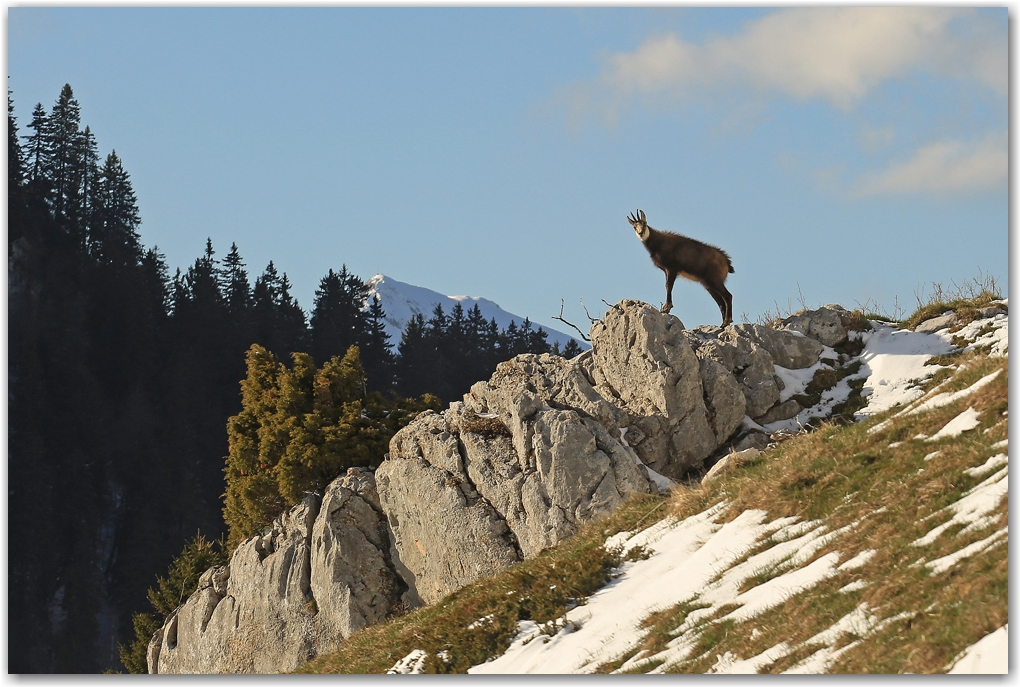Une Dent de Crolles hivernale au printemps