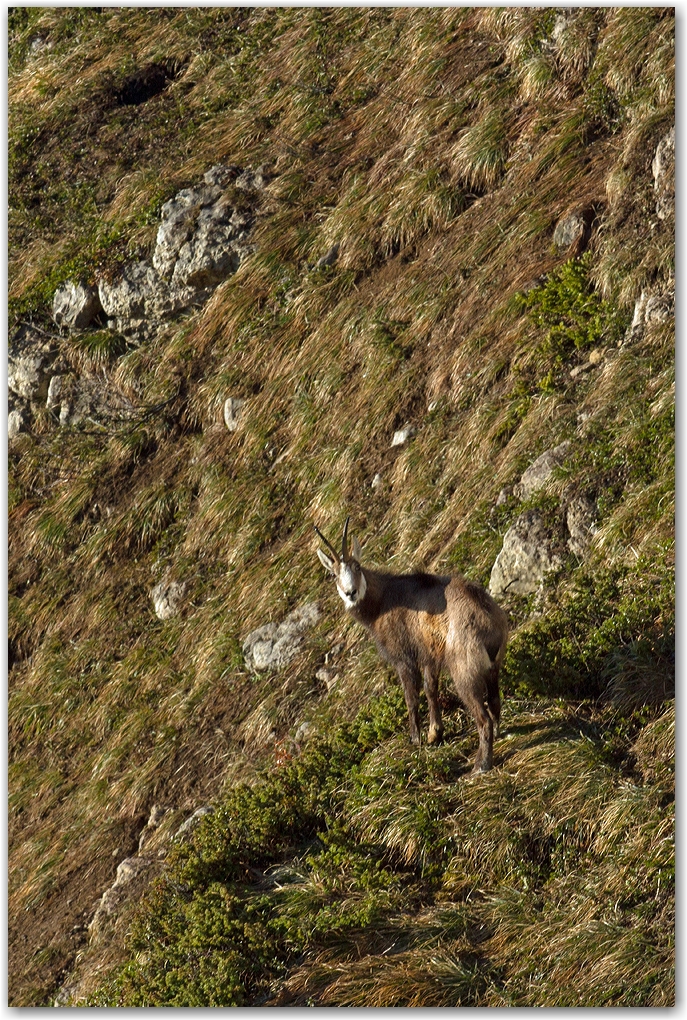 spectre de Brocken à la Dent de Crolles