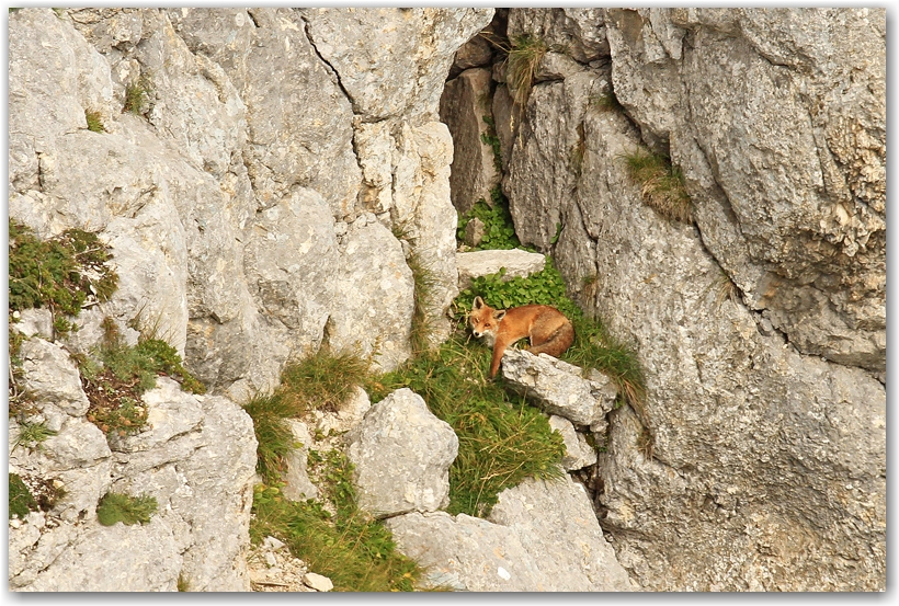 les pyrénées