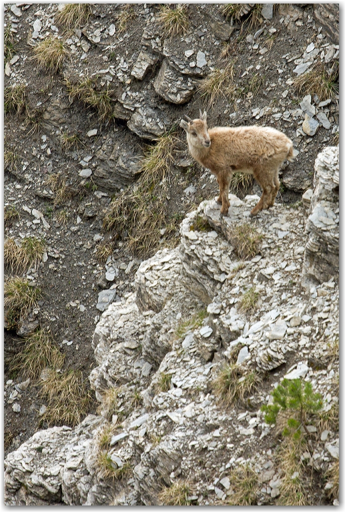 au Pas de l'Aiguille