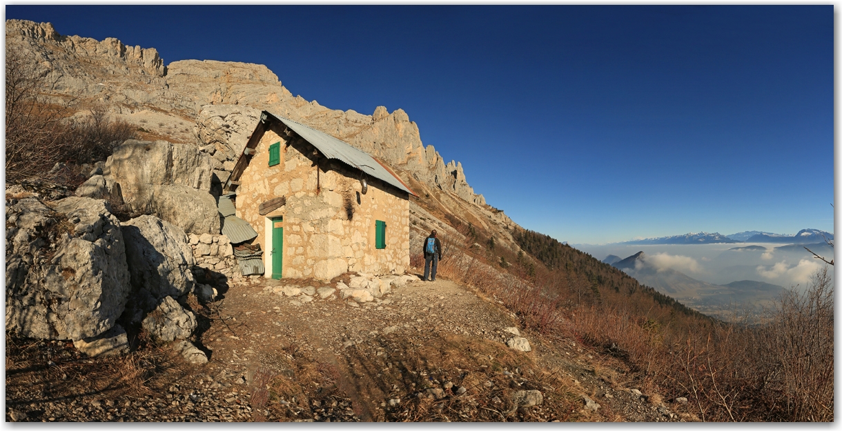 les bouquetins en hiver sans neige