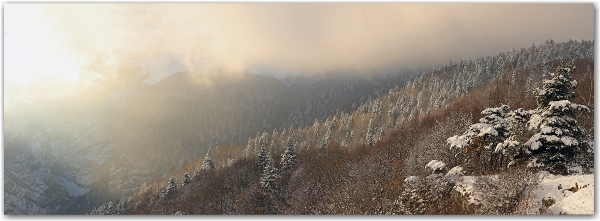 l'automne en Vercors