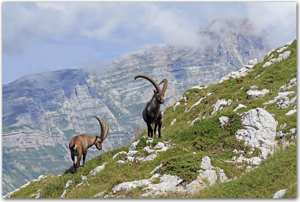 Le Vercors et ses crêtes