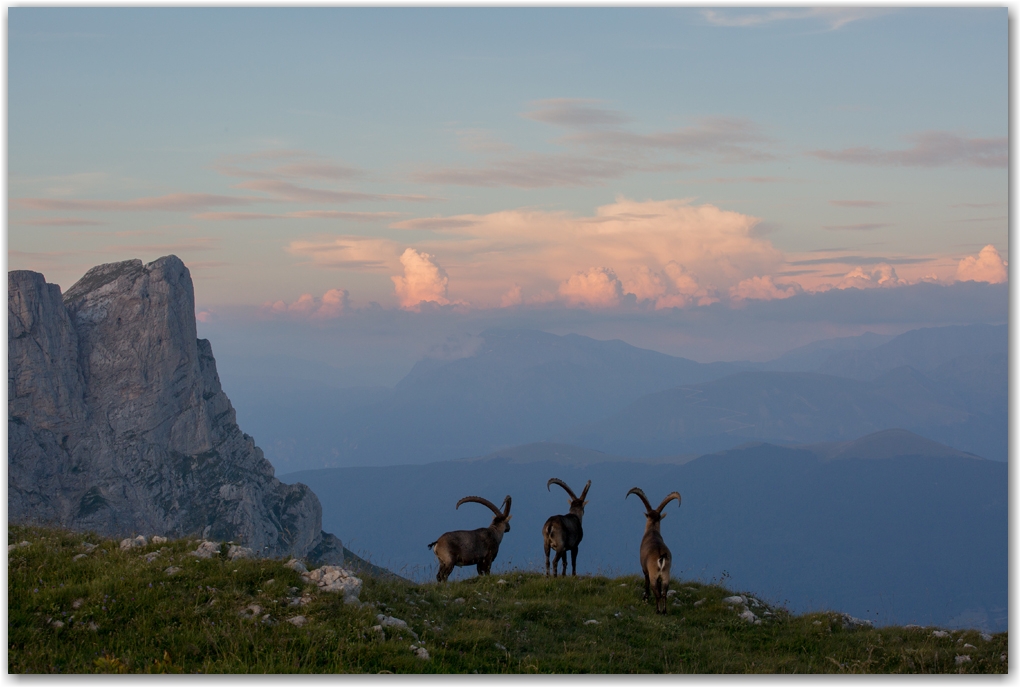 rencontres estivales