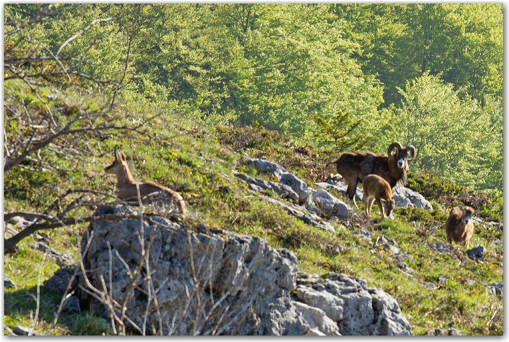 le Vercors et ses habitants