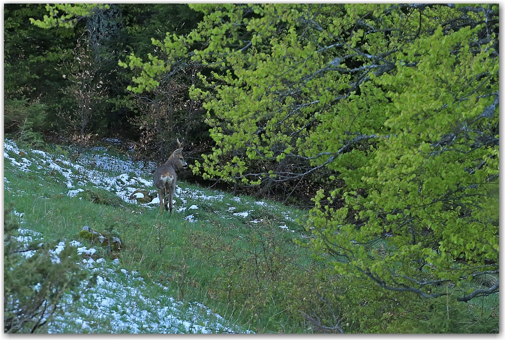 Encore une Dent de Crolles en mode hiver