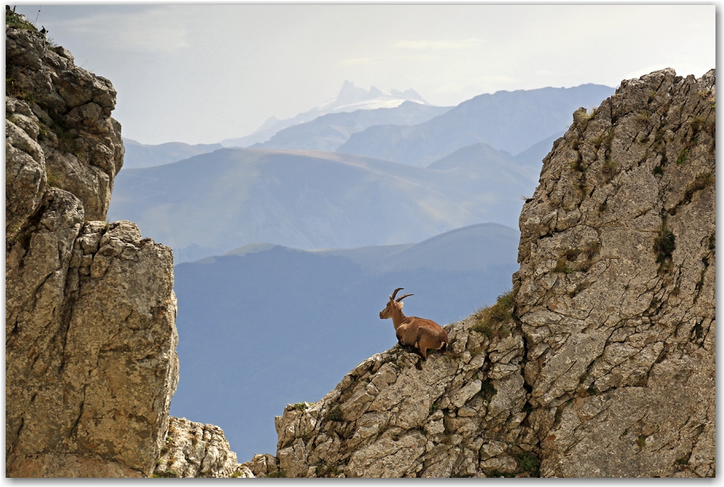 rencontres estivales