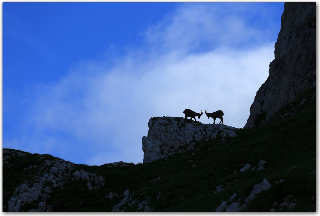 un bivouac raté