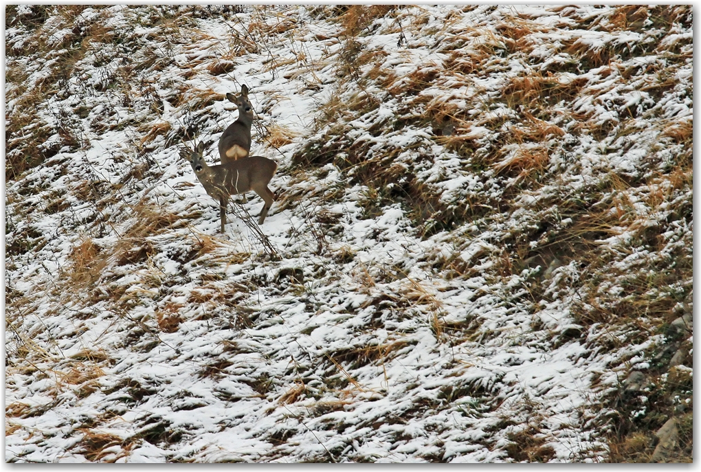 contraste automne hiver...