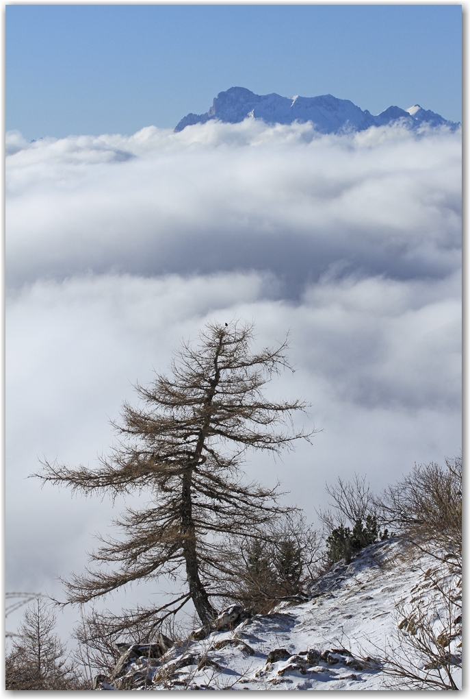 neige de printemps dans le Vercors