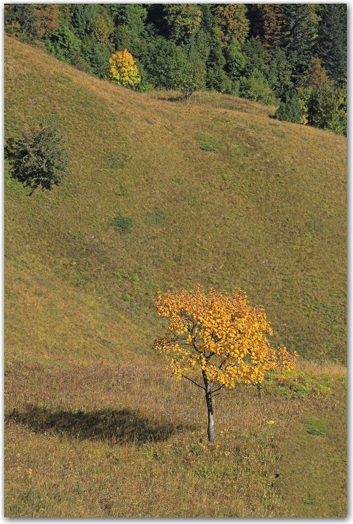 l'automne en Vercors