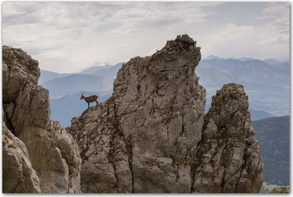 rencontres estivales