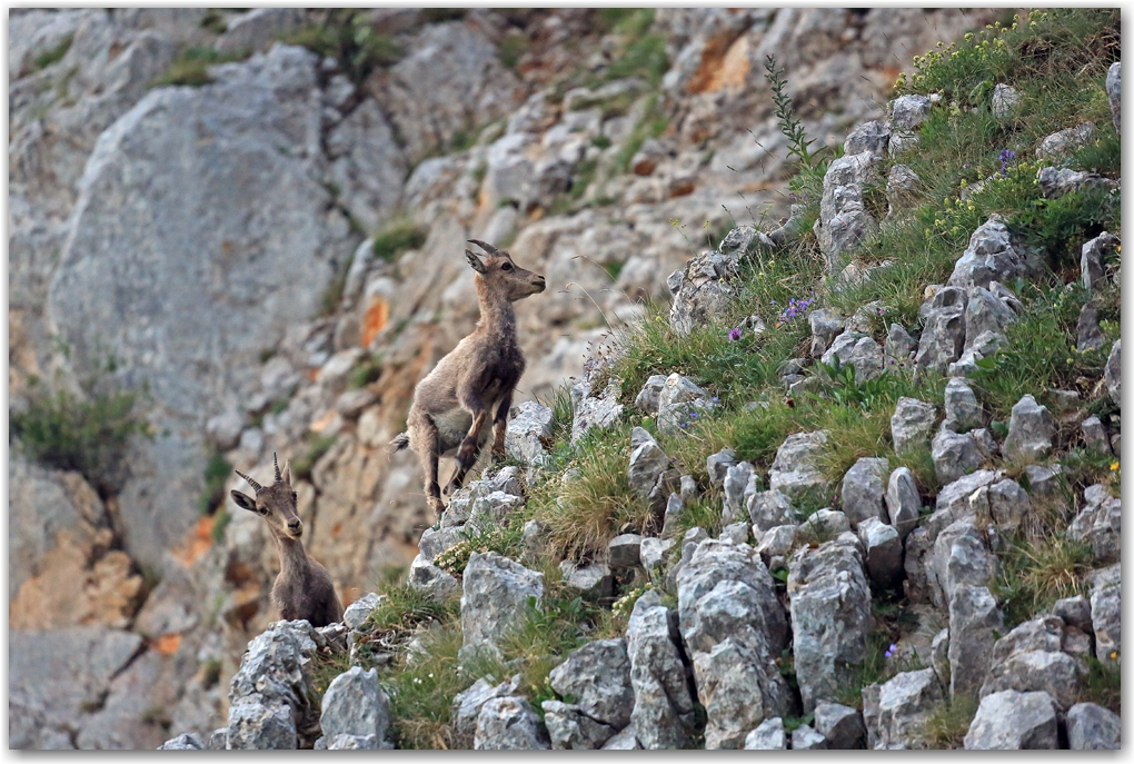 rencontres estivales
