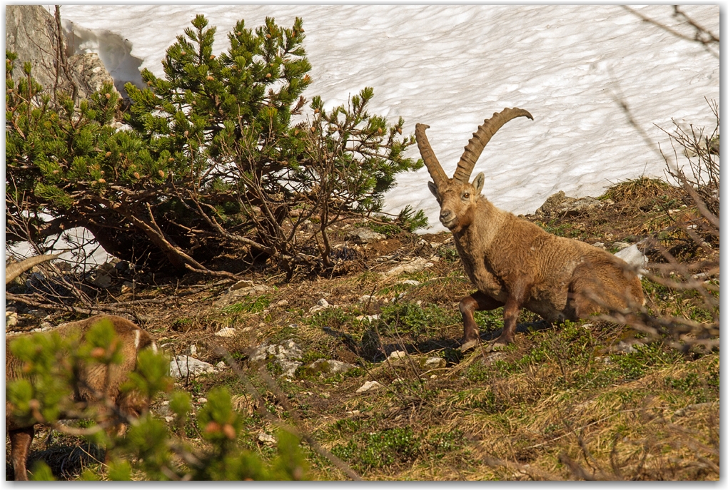 rencontre dans le Vercors