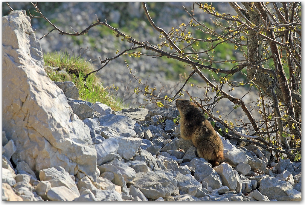 le Vercors et ses habitants