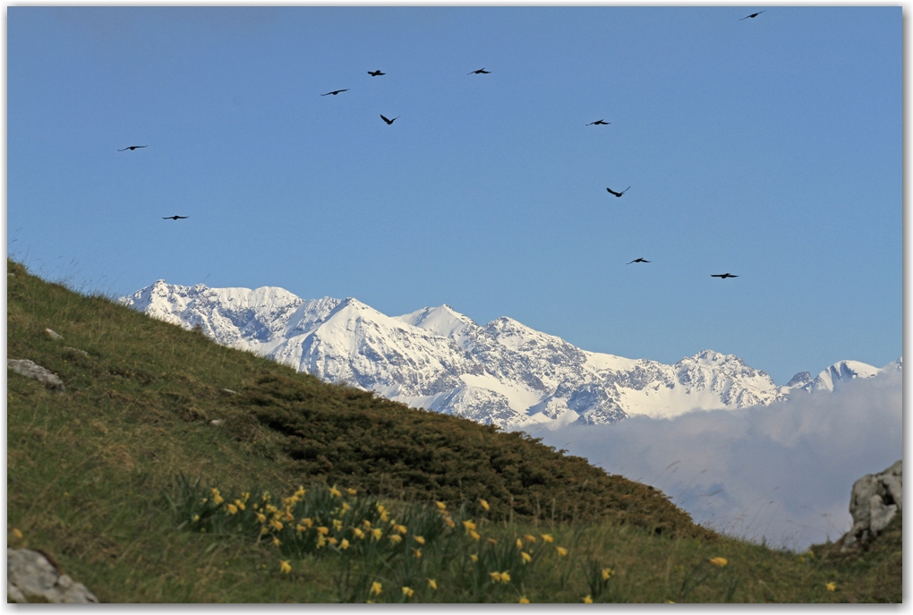 dent de crolles