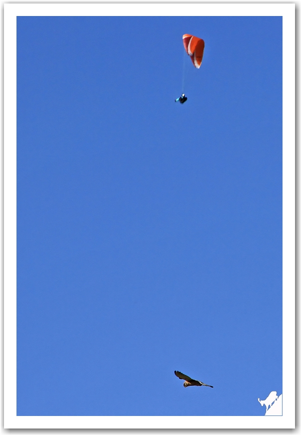 BD_180712_012