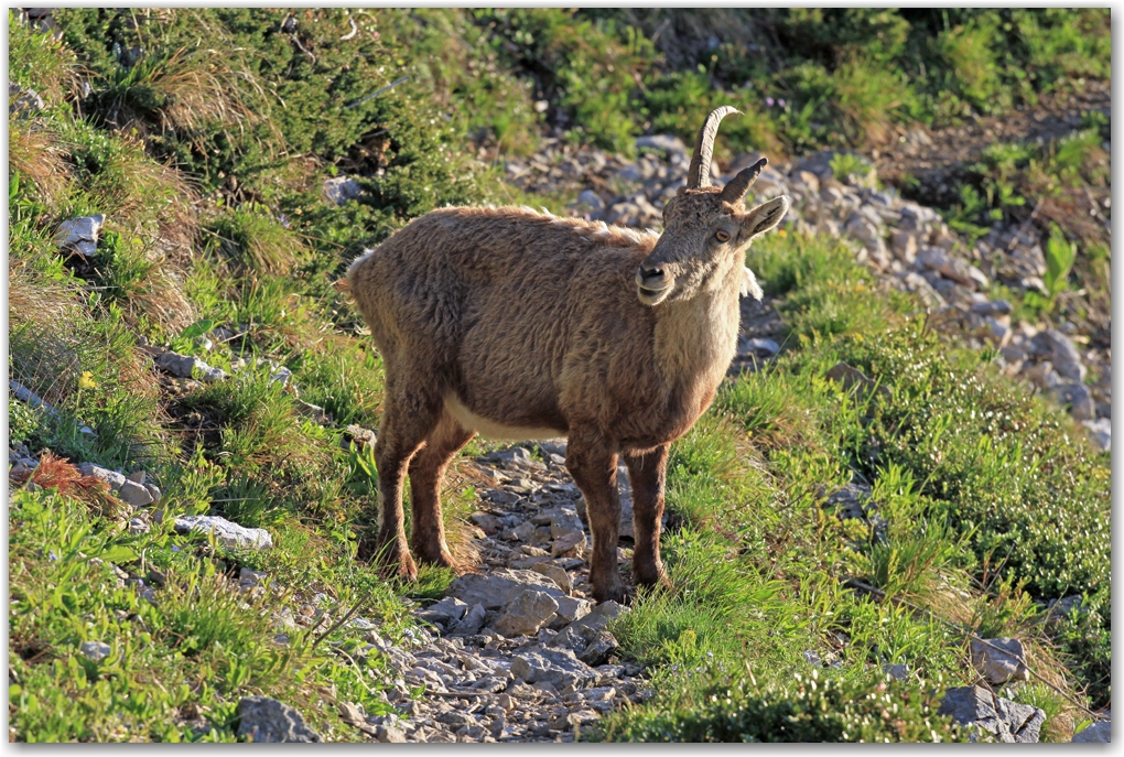 le Vercors et ses habitants