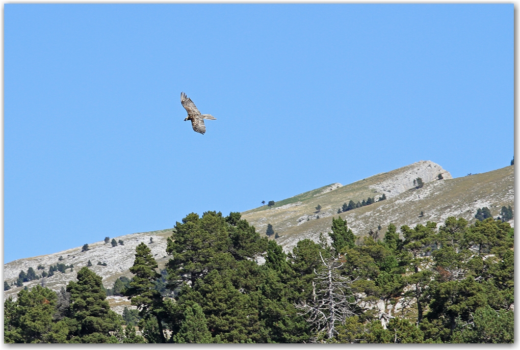 2 jours dans le Vercors...