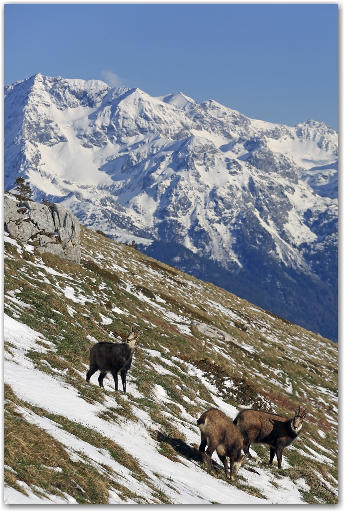 Une Dent de Crolles hivernale au printemps