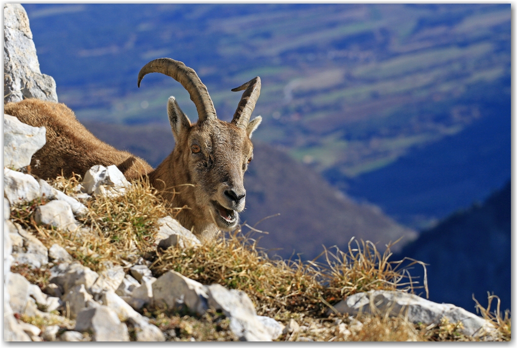 le Grand Veymont