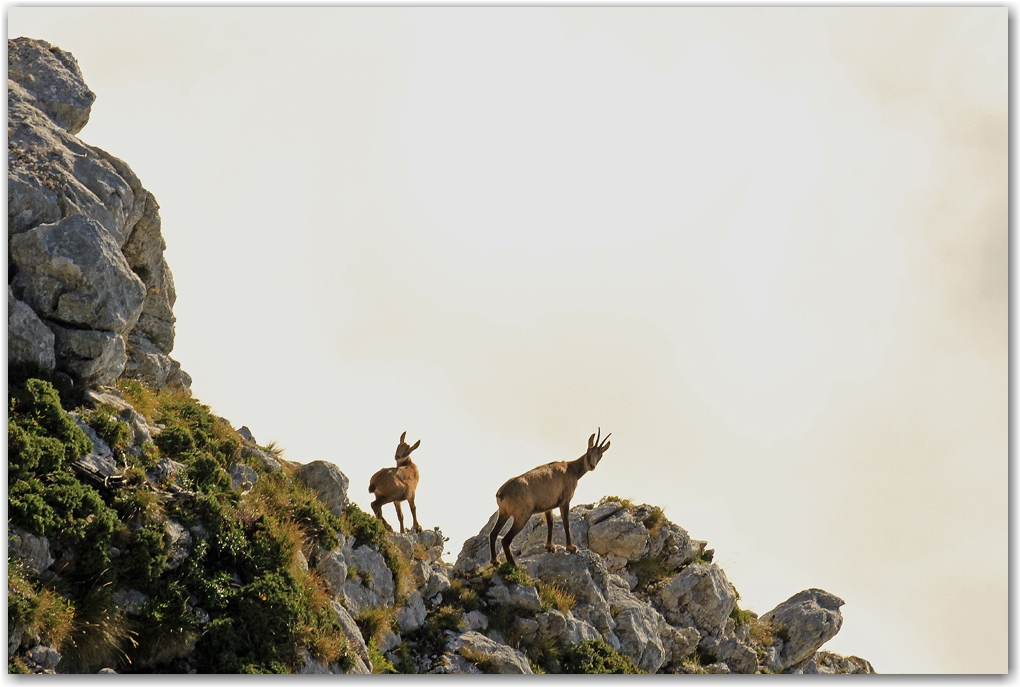 l'automne en Vercors