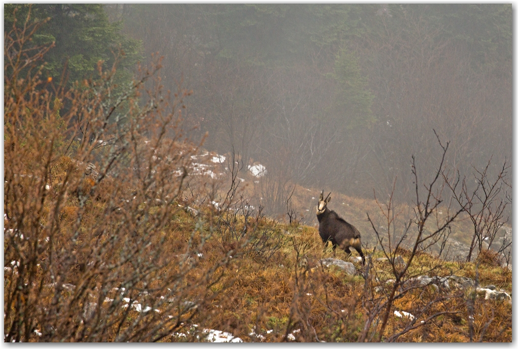 l'automne en Vercors