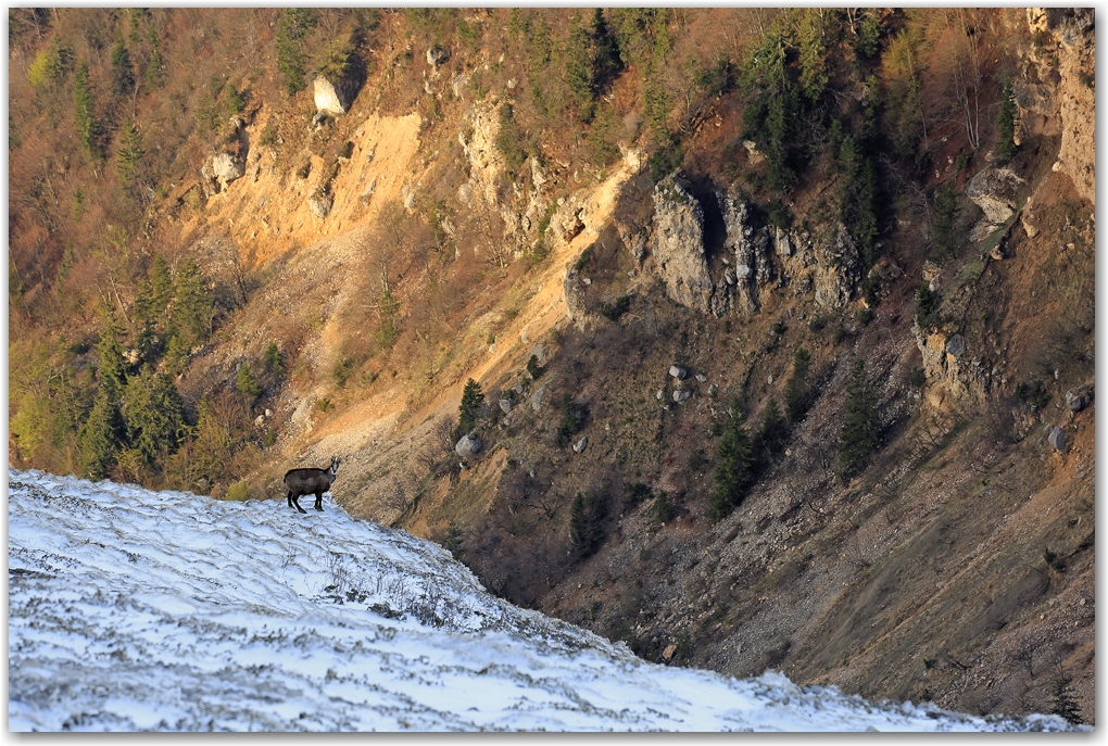 dernier jour d'hiver