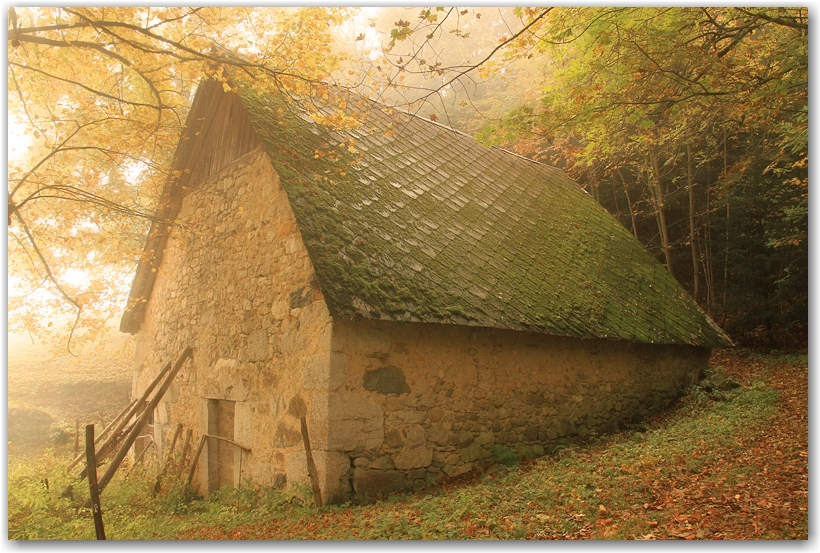 un midi d'automne en Chartreuse