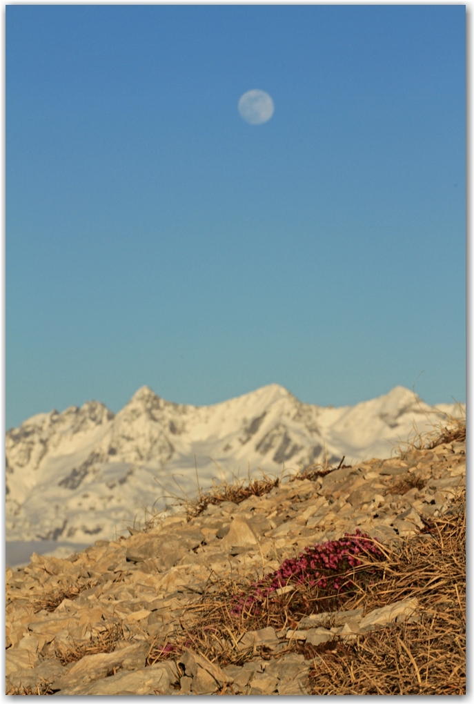 dent de crolles