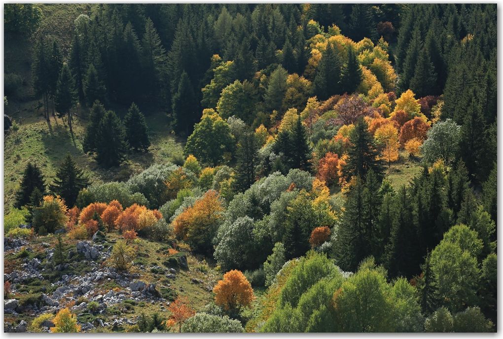 l'automne en Vercors