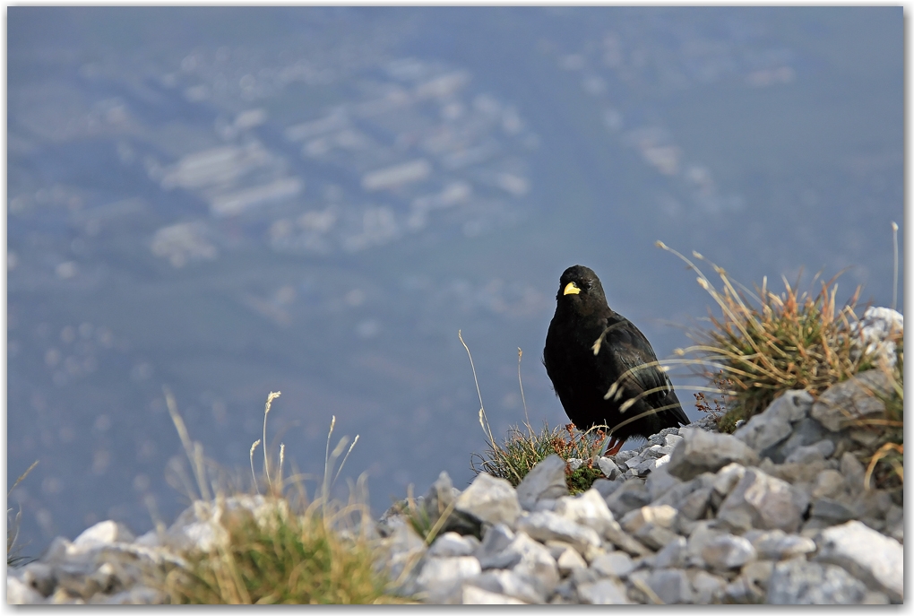 Icare à la Dent de Crolles