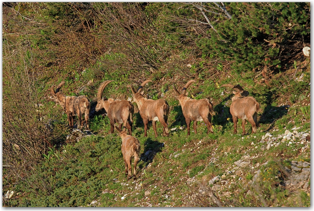 le Vercors et ses habitants