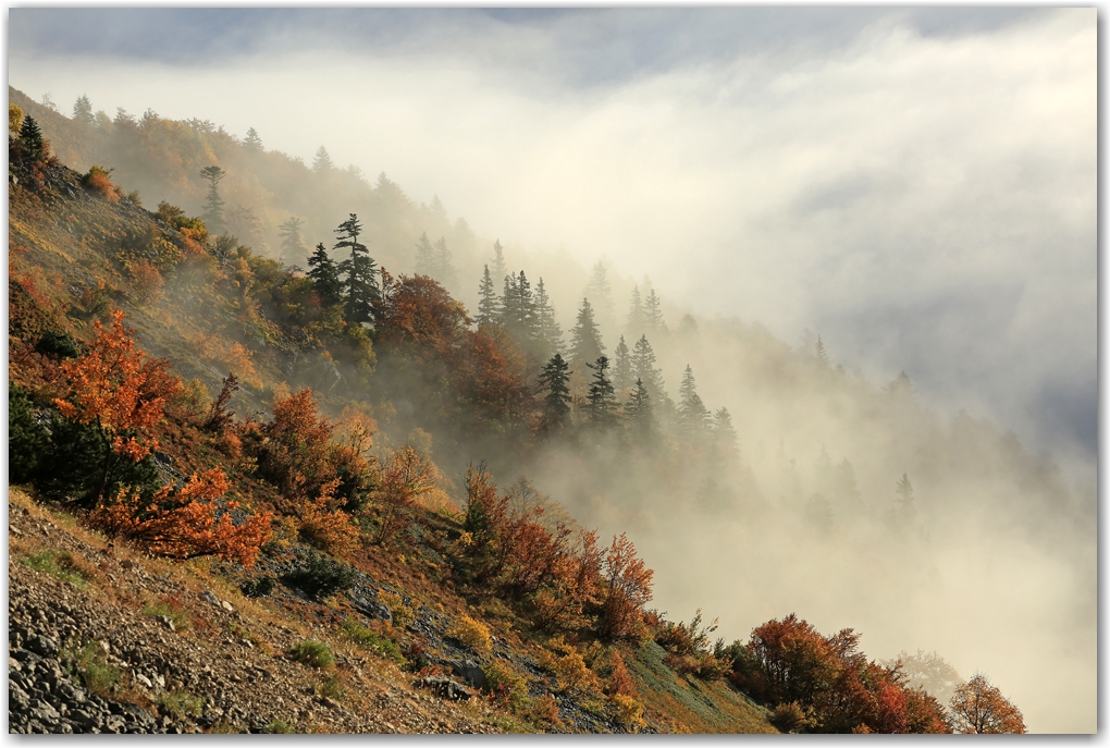 l'automne est arrivé