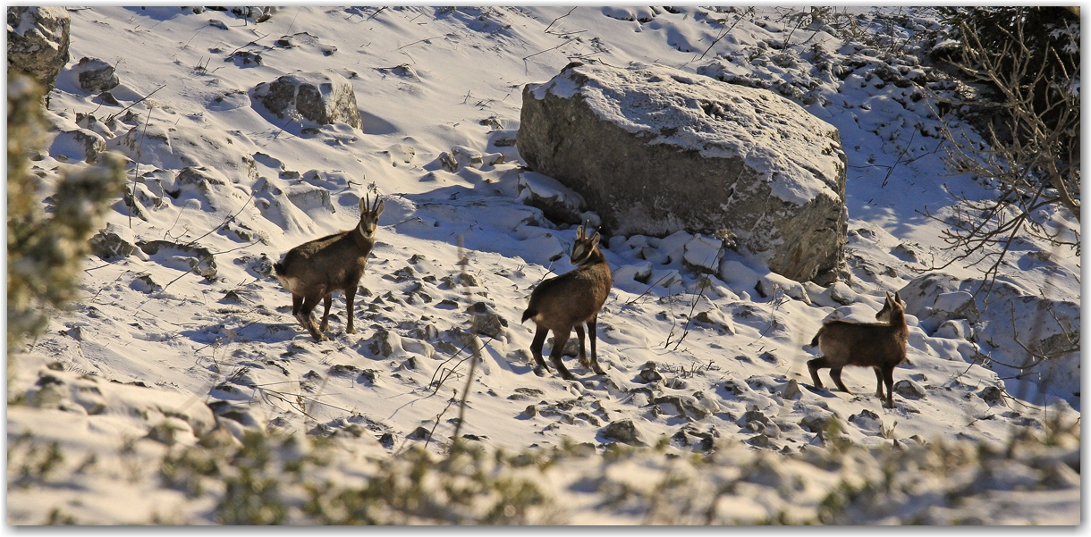 neige de printemps dans le Vercors