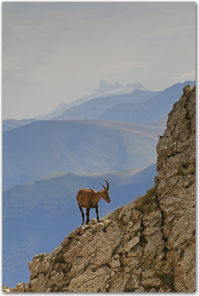 rencontres estivales