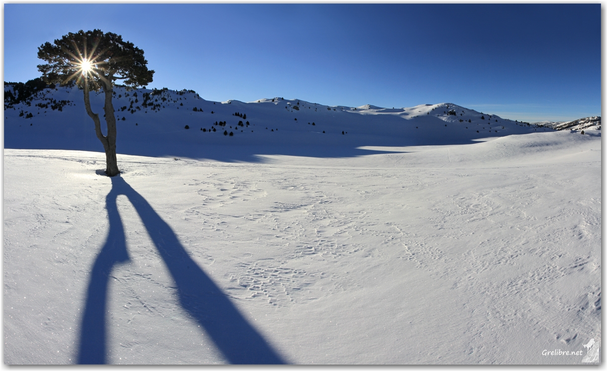 Hauts Plateaux du Vercors