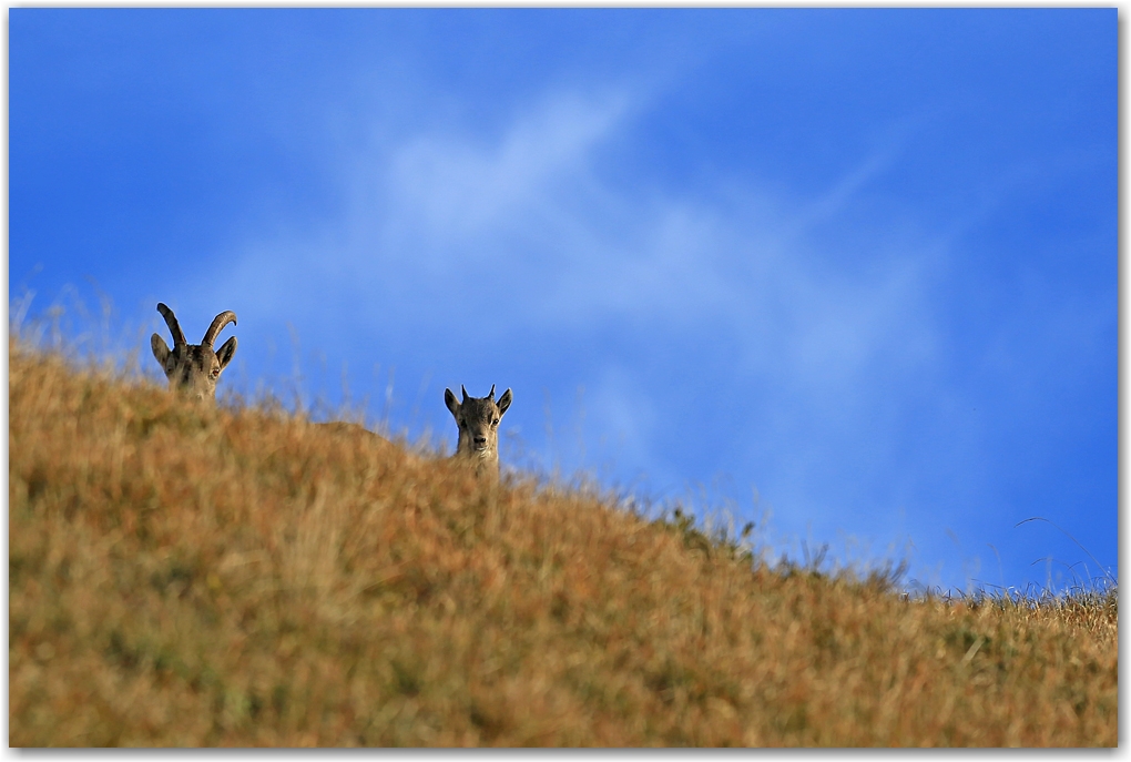 rencontre