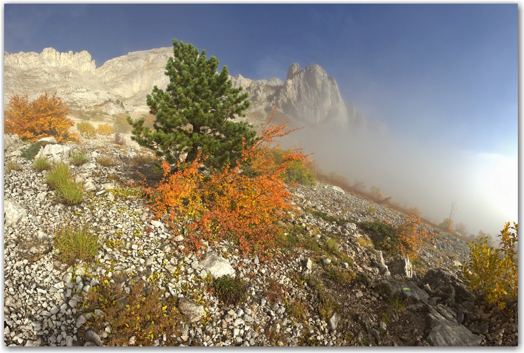 l'automne est arrivé