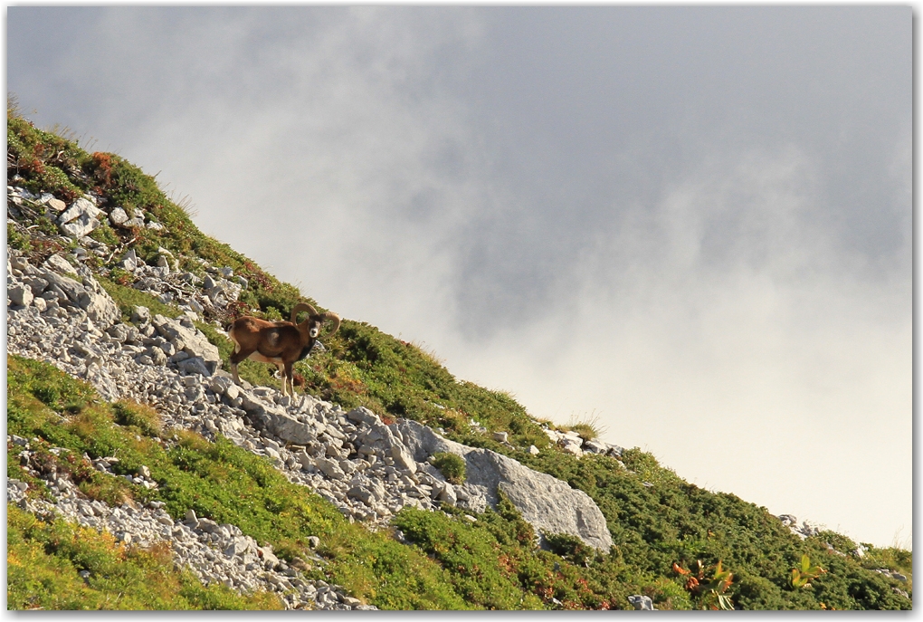 l'automne en Vercors