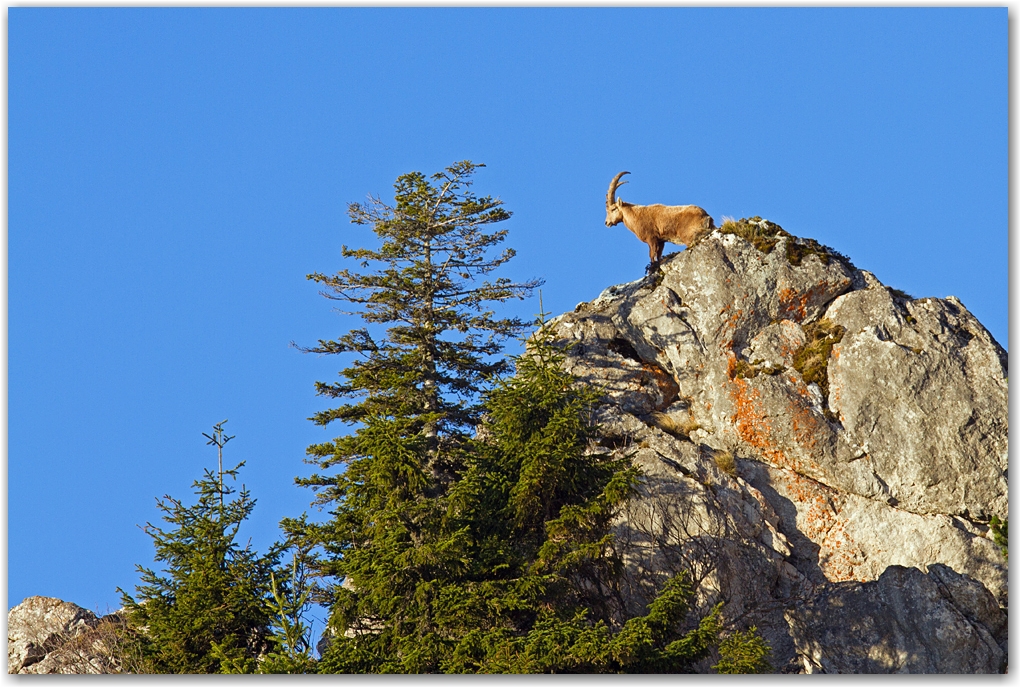 rencontre dans le Vercors